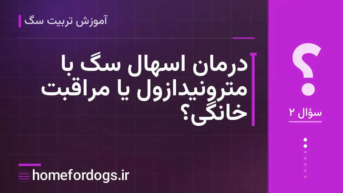 درمان اسهال سگ با مترونیدازول یا مراقبت خانگی؟