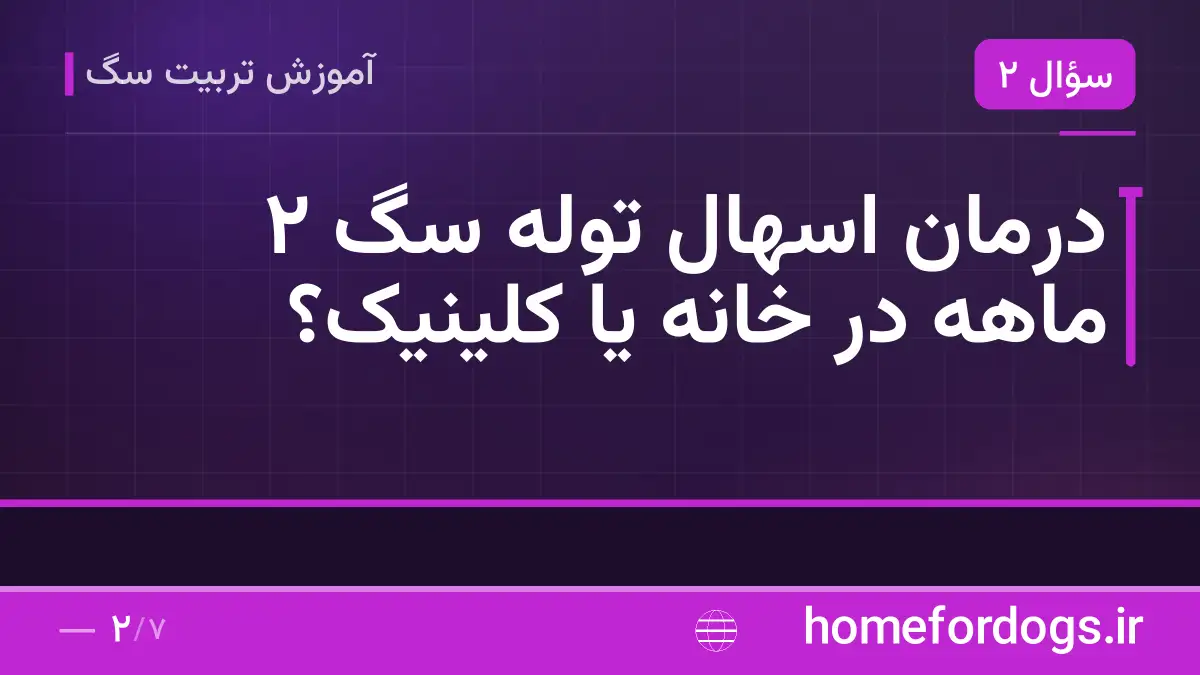 درمان اسهال توله سگ 2 ماهه در خانه یا کلینیک؟