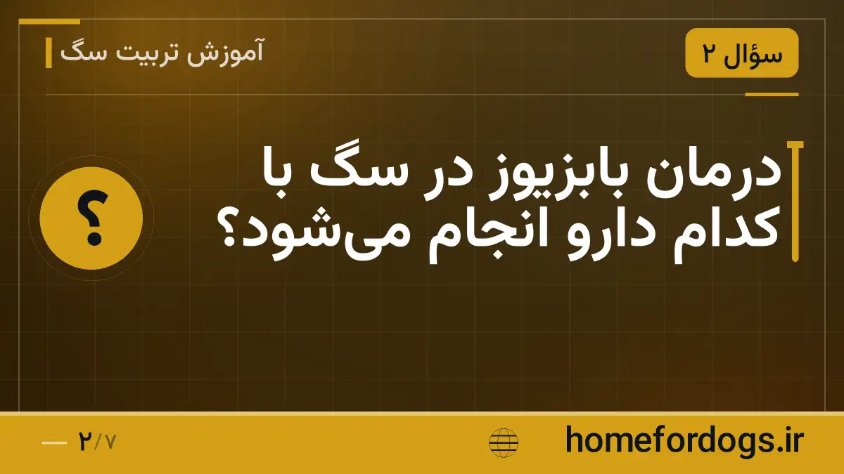 درمان بابزیوز در سگ با کدام دارو انجام می‌شود؟