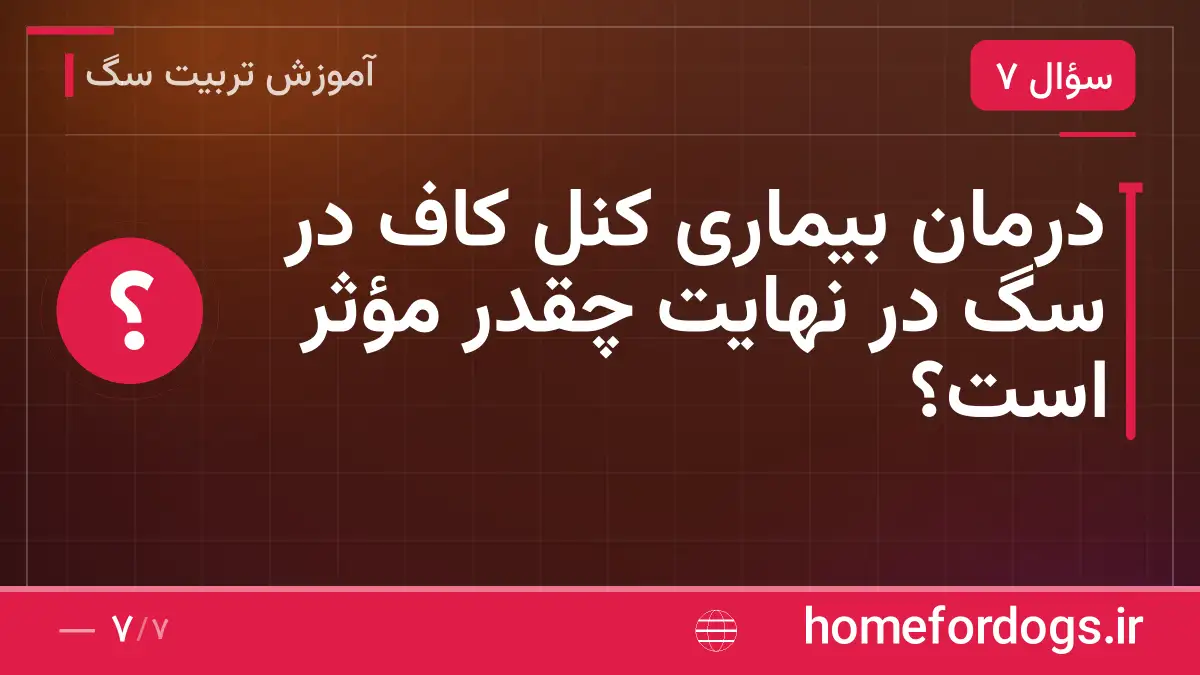 درمان بیماری کنل کاف در سگ در نهایت چقدر مؤثر است؟