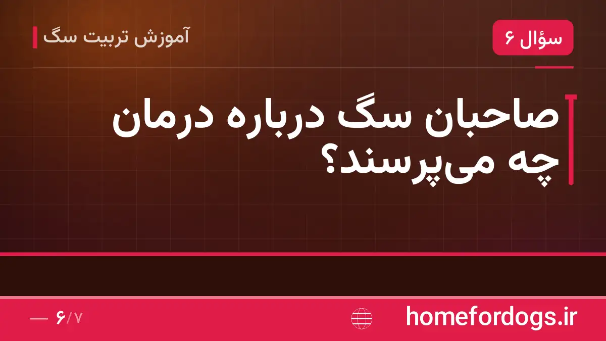 صاحبان سگ درباره درمان چه می‌پرسند؟