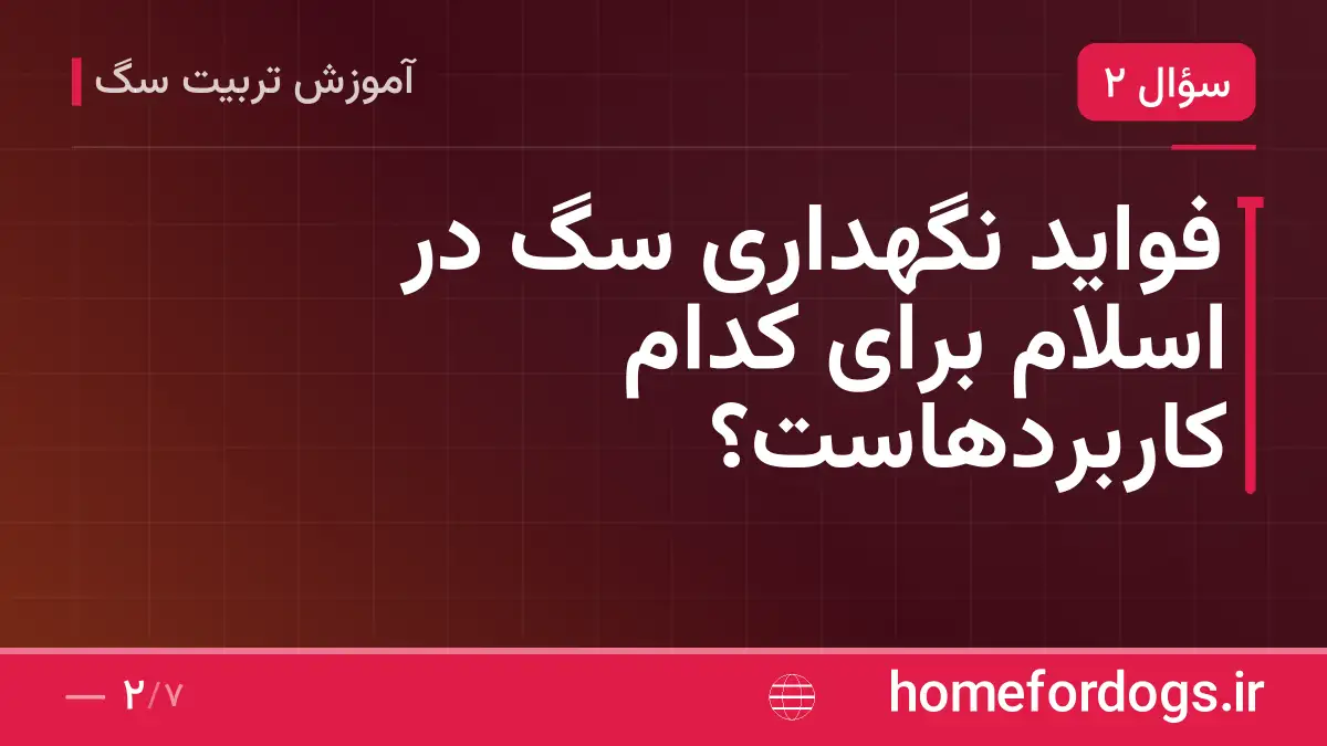 فواید نگهداری سگ در اسلام برای کدام کاربردهاست؟