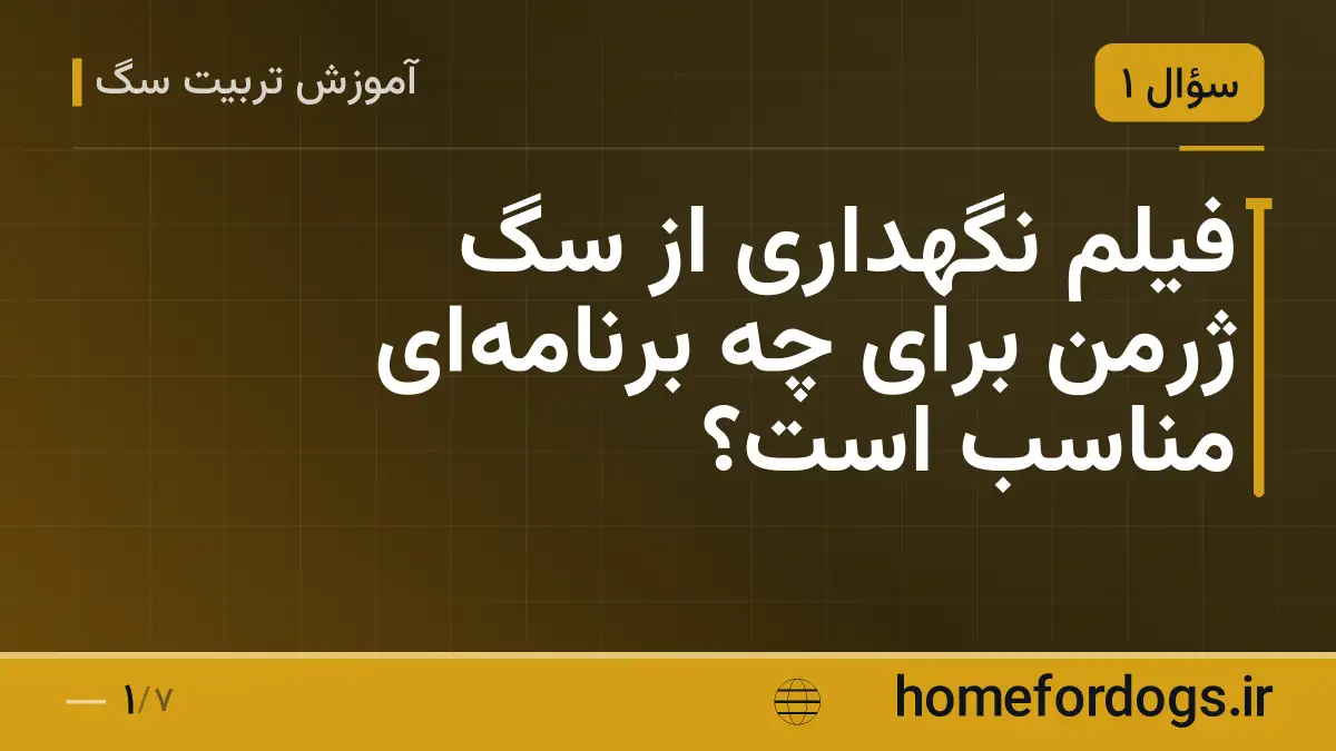 فیلم نگهداری از سگ ژرمن برای چه برنامه‌ای مناسب است؟