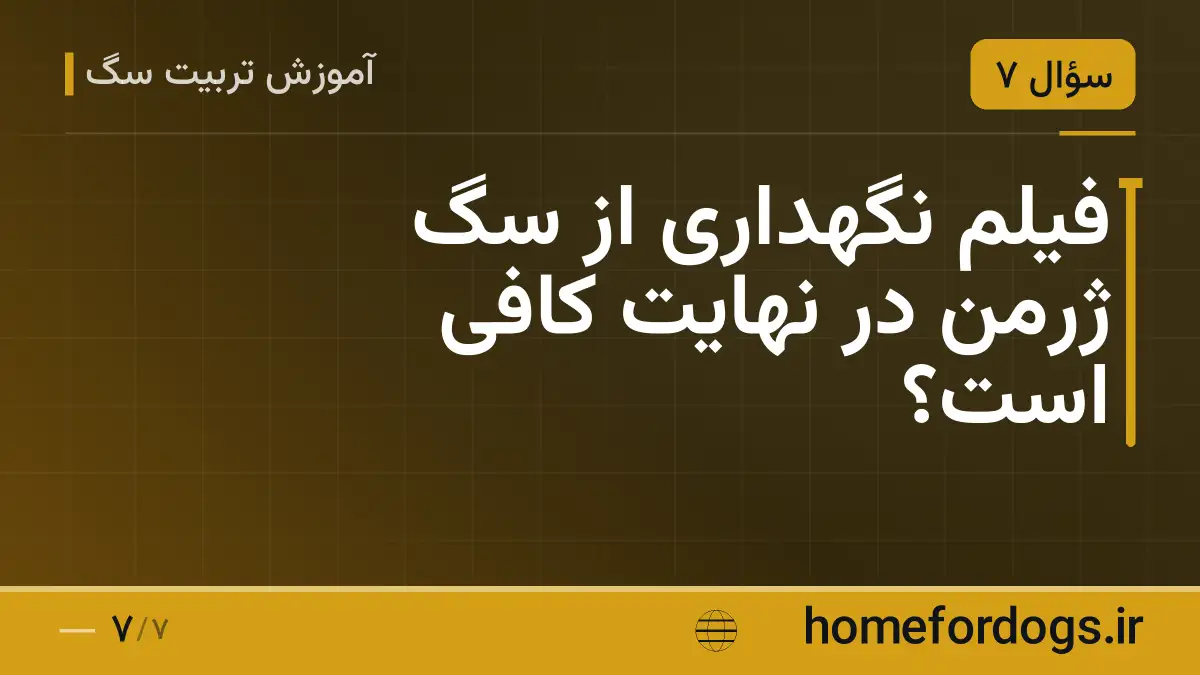 فیلم نگهداری از سگ ژرمن در نهایت کافی است؟