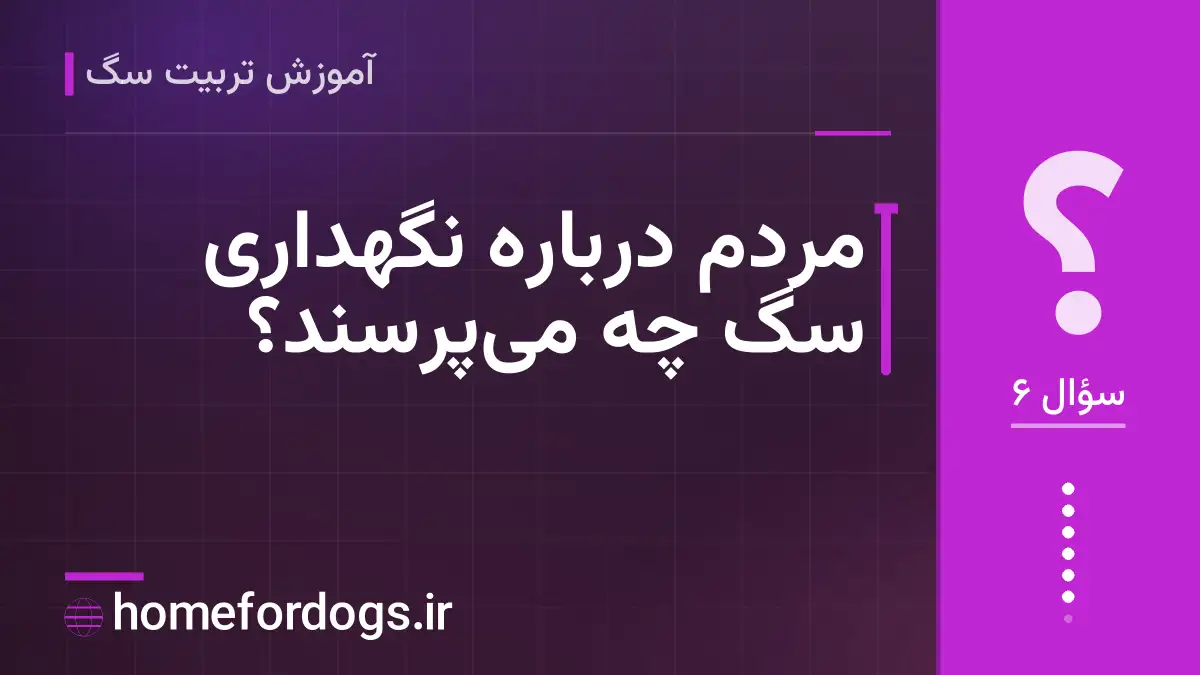 مردم درباره نگهداری سگ چه میپرسند؟