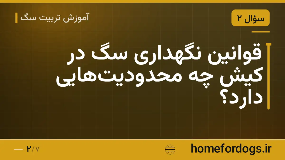 قوانین نگهداری سگ در کیش چه محدودیت‌هایی دارد؟