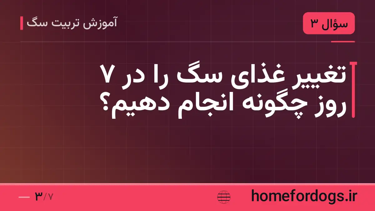 تغییر غذای سگ را در ۷ روز چگونه انجام دهیم؟