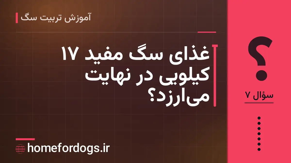 غذای سگ مفید ۱۷ کیلویی در نهایت میارزد؟