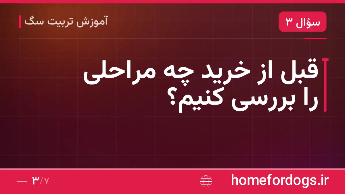 قبل از خرید چه مراحلی را بررسی کنیم؟