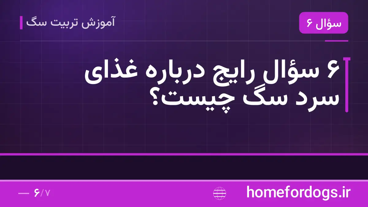 ۶ سؤال رایج درباره غذای سرد سگ چیست؟