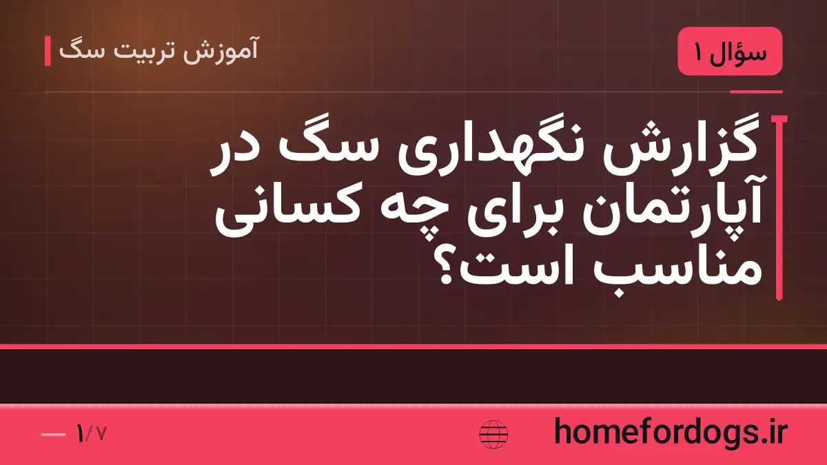 گزارش نگهداری سگ در آپارتمان برای چه کسانی مناسب است؟