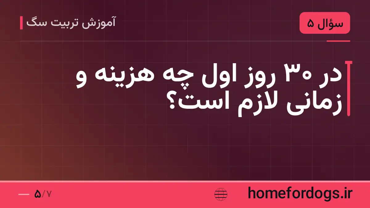 در ۳۰ روز اول چه هزینه و زمانی لازم است؟