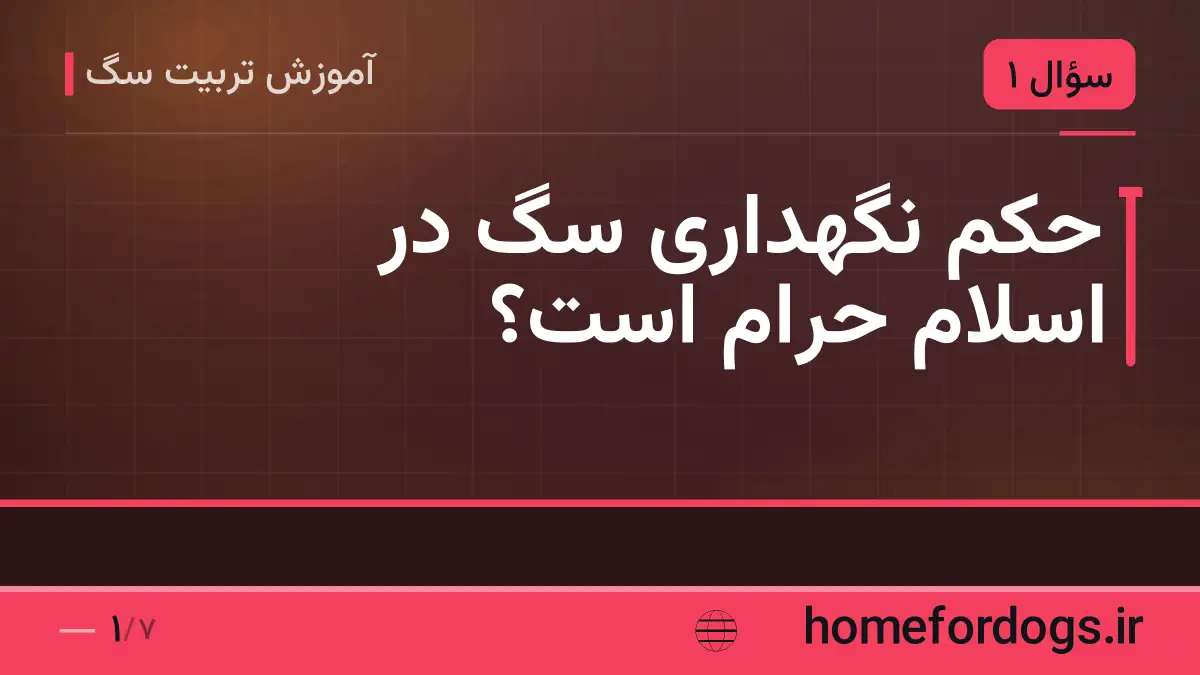 حکم نگهداری سگ در اسلام حرام است؟