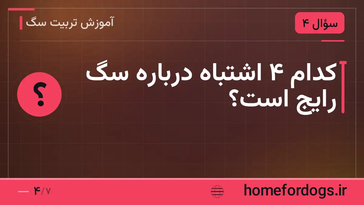 کدام ۴ اشتباه درباره سگ رایج است؟
