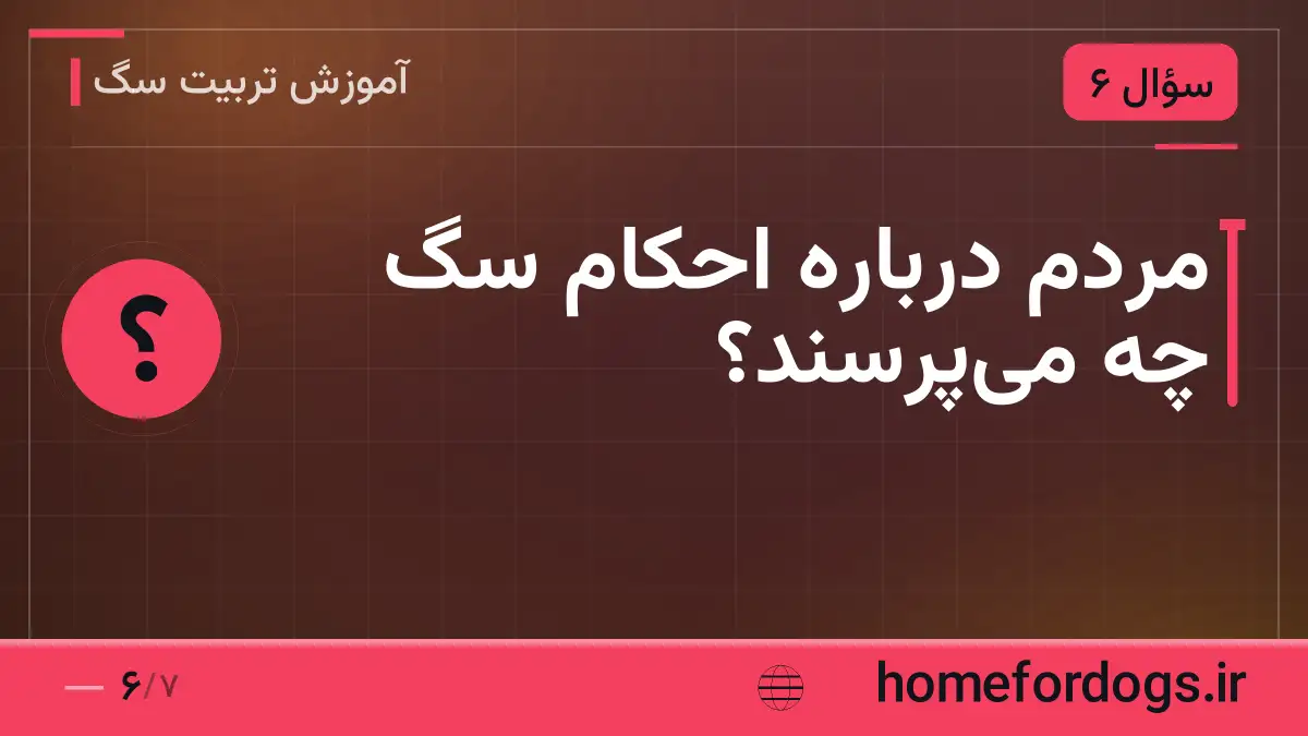 مردم درباره احکام سگ چه می‌پرسند؟