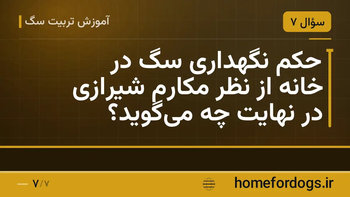 حکم نگهداری سگ در خانه از نظر مکارم شیرازی در نهایت چه می‌گوید؟