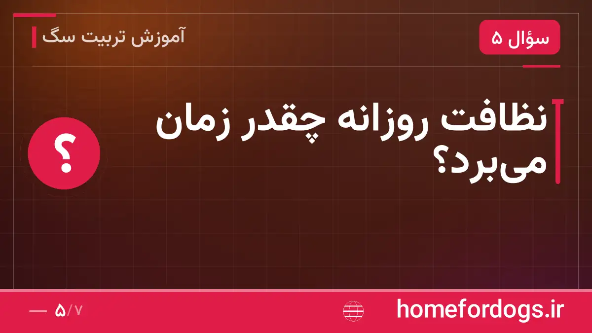 نظافت روزانه چقدر زمان میبرد؟