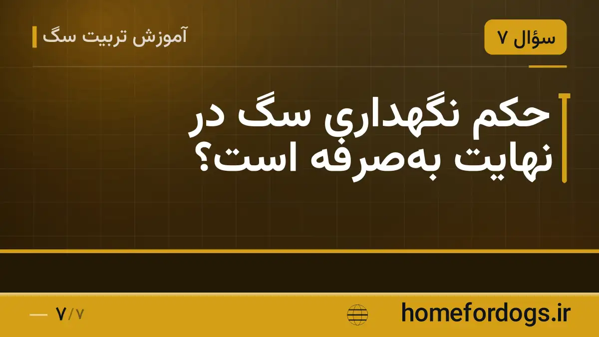 حکم نگهداری سگ در نهایت به‌صرفه است؟