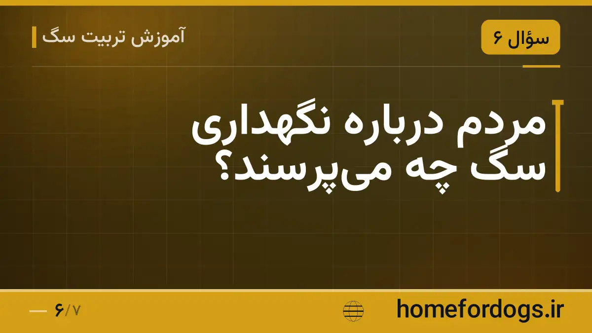 مردم دربارهٔ نگهداری سگ چه می‌پرسند؟