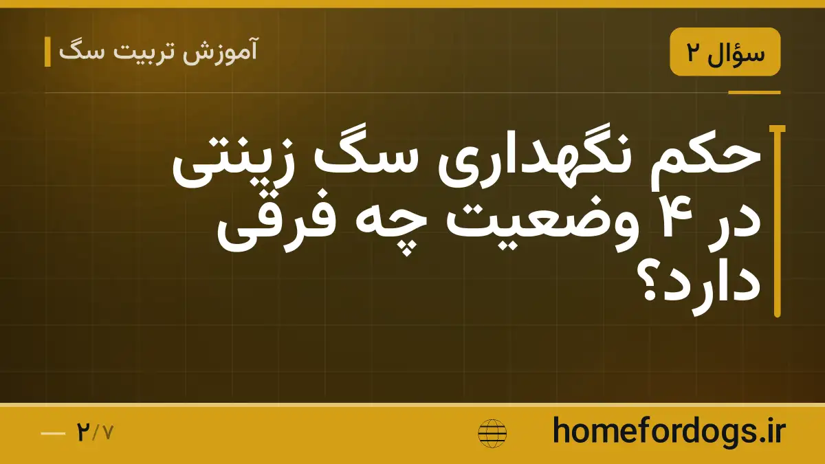 حکم نگهداری سگ زینتی در ۴ وضعیت چه فرقی دارد؟