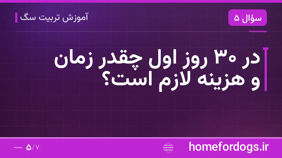 در ۳۰ روز اول چقدر زمان و هزینه لازم است؟