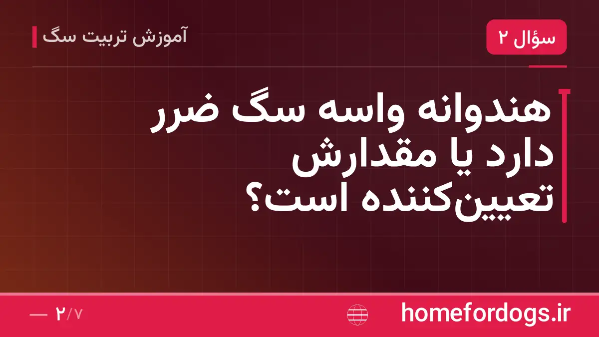 هندوانه واسه سگ ضرر دارد یا مقدارش تعیین‌کننده است؟