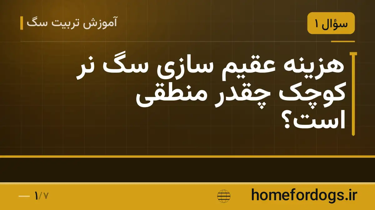 هزینه عقیم سازی سگ نر کوچک چقدر منطقی است؟