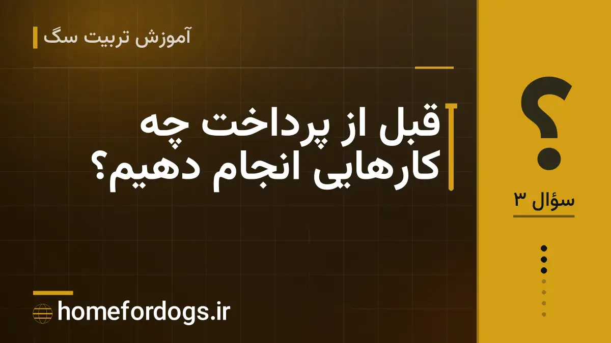 قبل از پرداخت چه کارهایی انجام دهیم؟