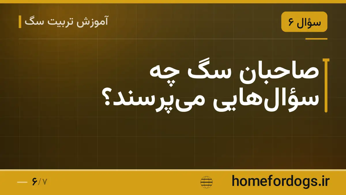 صاحبان سگ چه سؤال‌هایی می‌پرسند؟