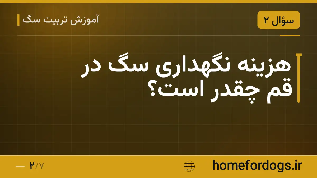 هزینه نگهداری سگ در قم چقدر است؟