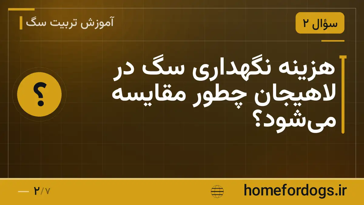 هزینه نگهداری سگ در لاهیجان چطور مقایسه می‌شود؟