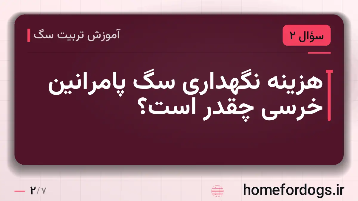 هزینه نگهداری سگ پامرانین خرسی چقدر است؟
