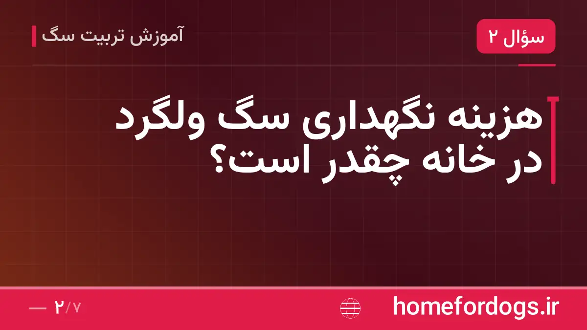 هزینه نگهداری سگ ولگرد در خانه چقدر است؟