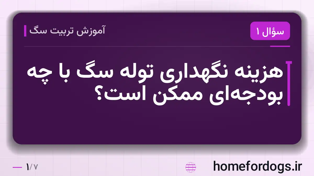 هزینه نگهداری توله سگ با چه بودجه‌ای ممکن است؟