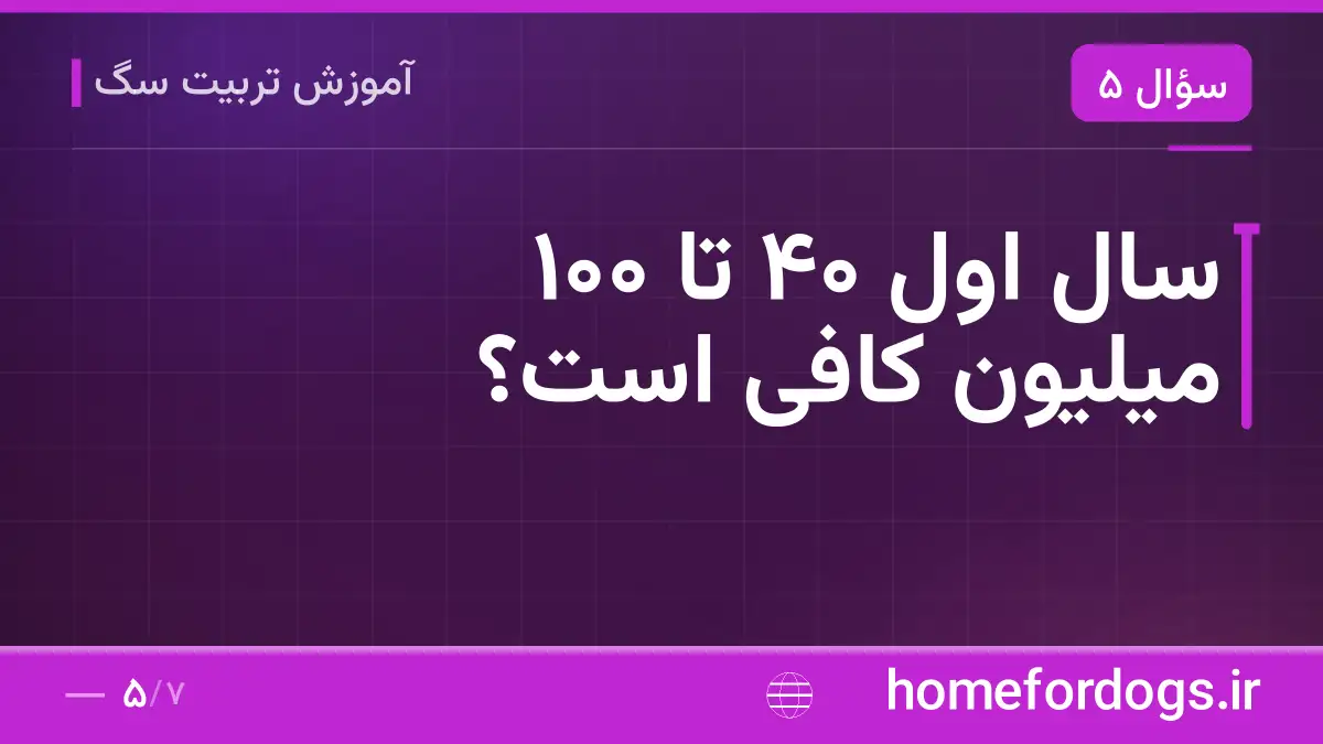 سال اول ۴۰ تا ۱۰۰ میلیون کافی است؟
