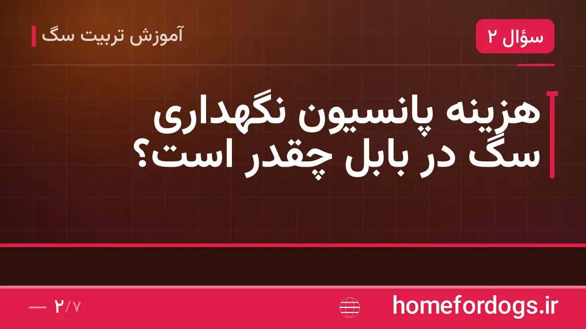 هزینه پانسیون نگهداری سگ در بابل چقدر است؟