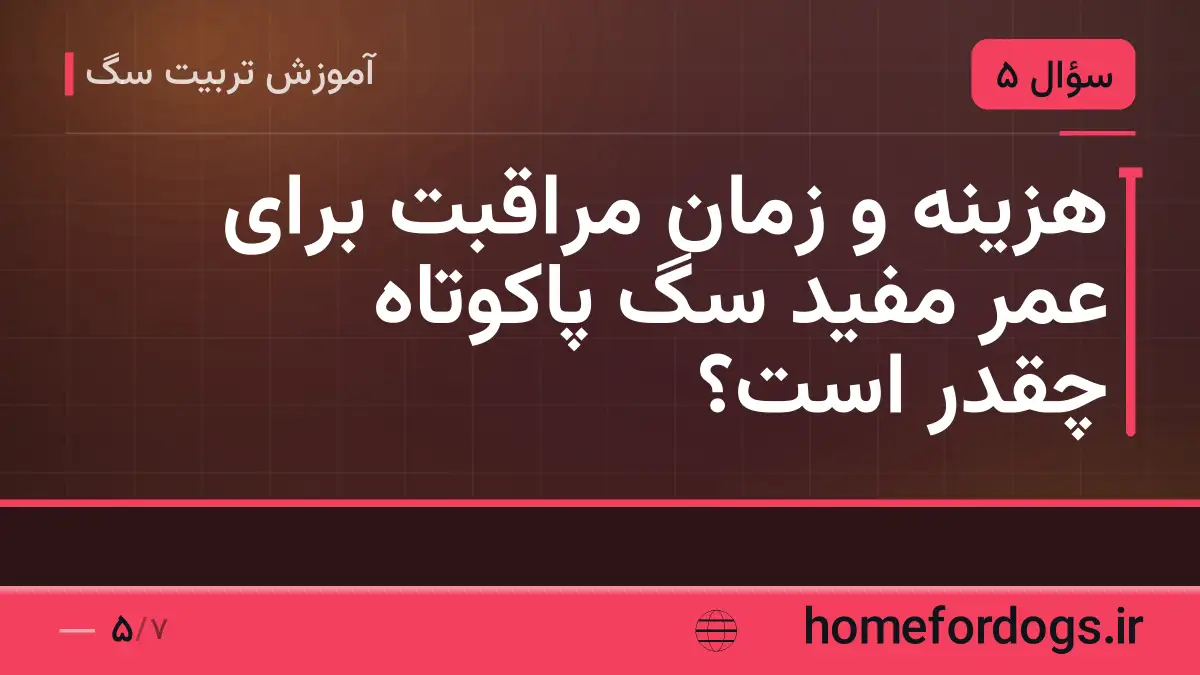 هزینه و زمان مراقبت برای عمر مفید سگ پاکوتاه چقدر است؟