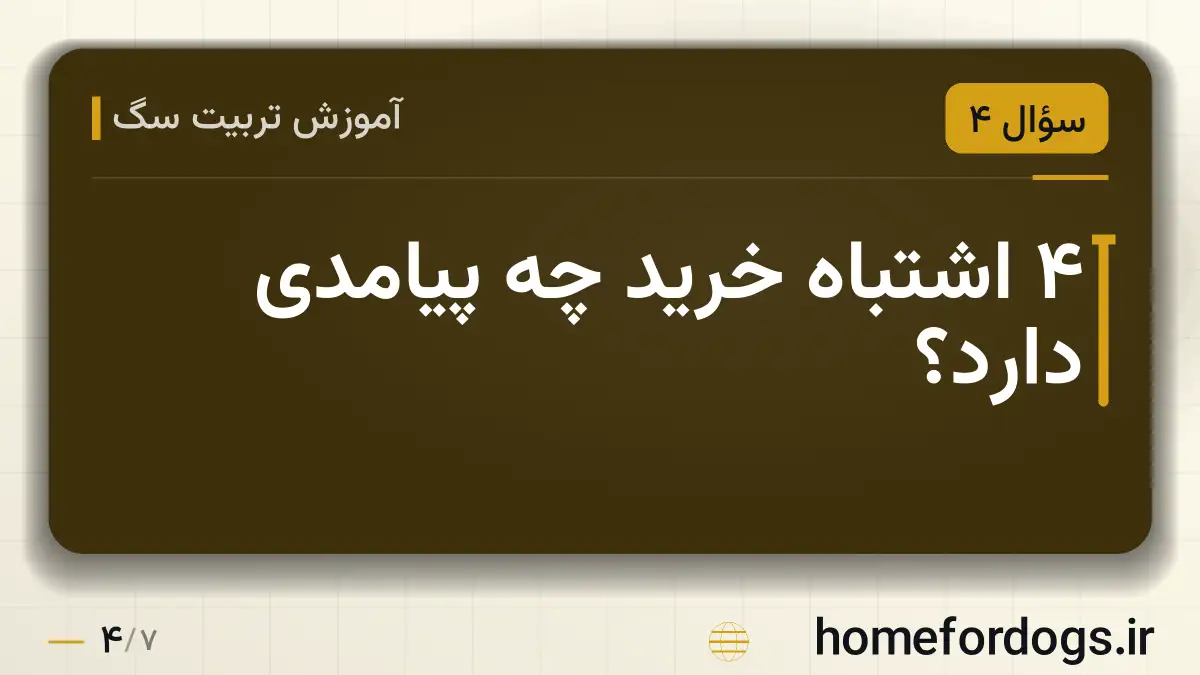 ۴ اشتباه خرید چه پیامدی دارد؟