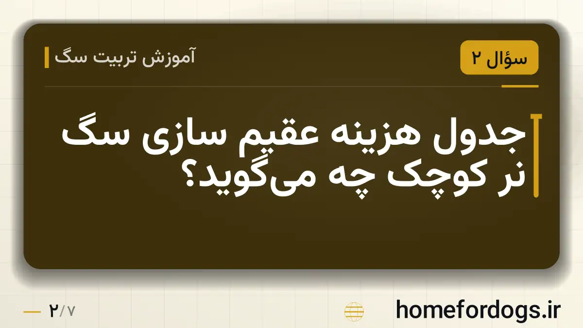 جدول هزینه عقیم سازی سگ نر کوچک چه می‌گوید؟