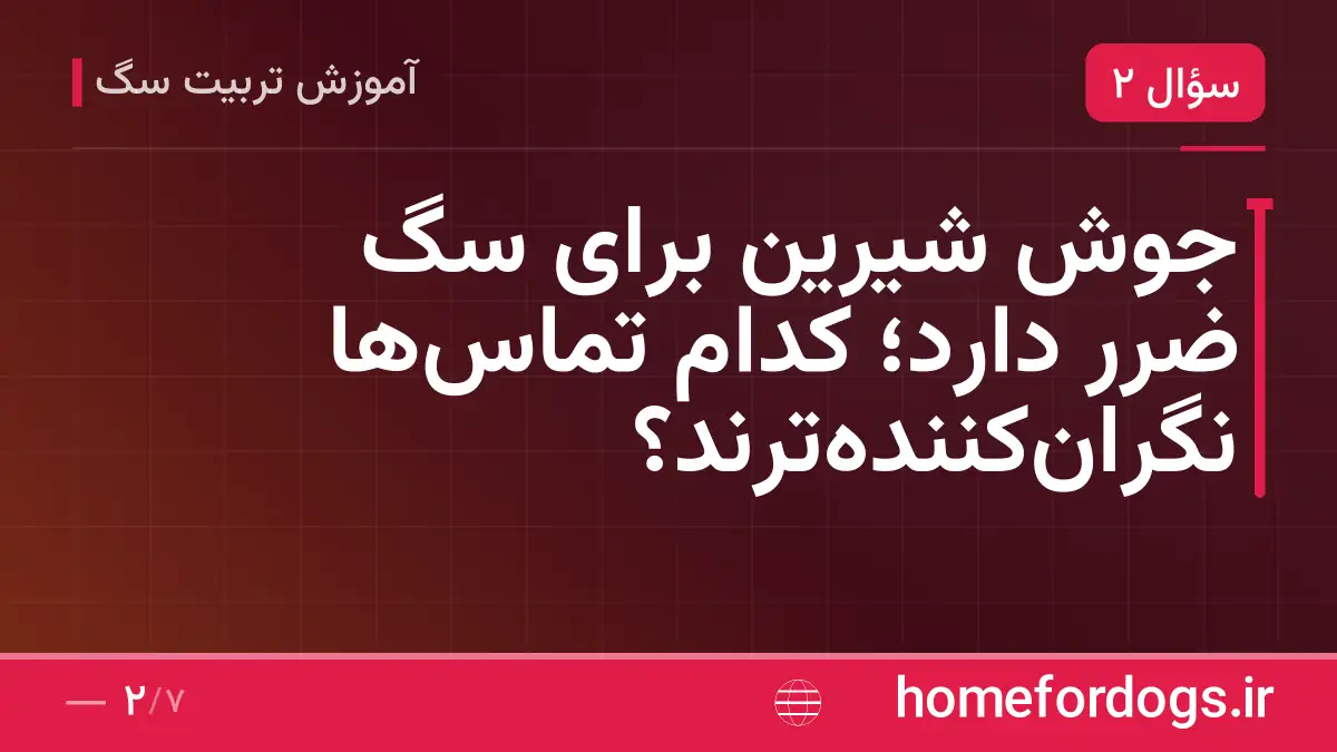 جوش شیرین برای سگ ضرر دارد؛ کدام تماس‌ها نگران‌کننده‌ترند؟