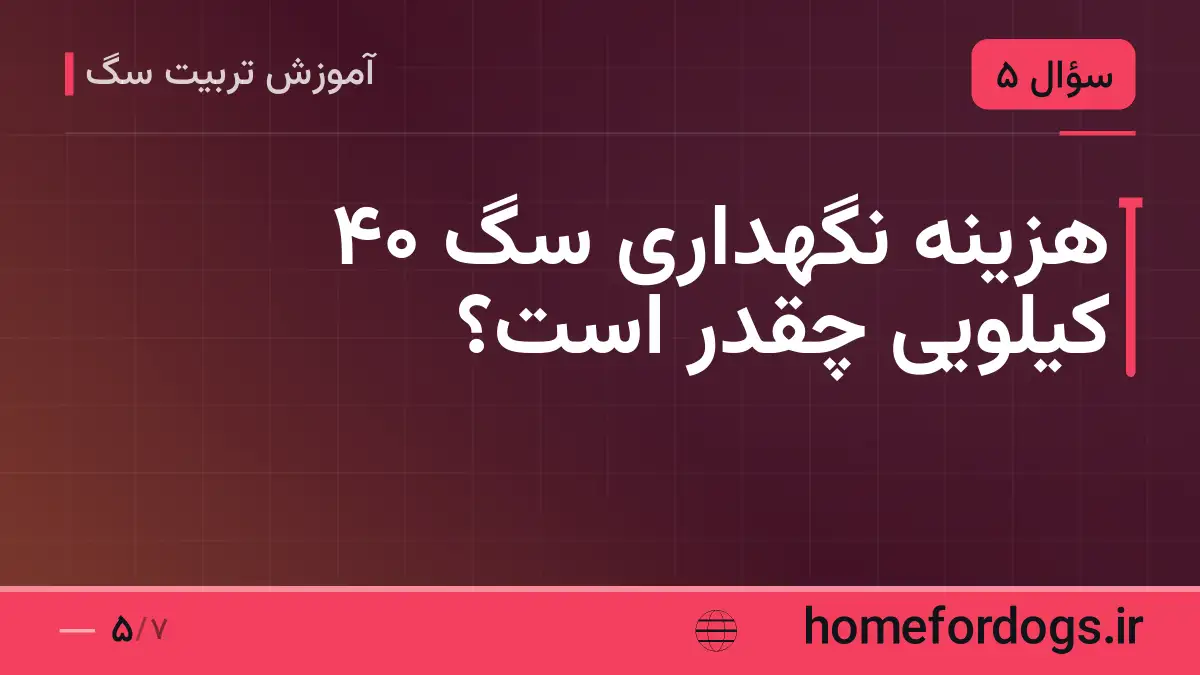 هزینه نگهداری سگ ۴۰ کیلویی چقدر است؟