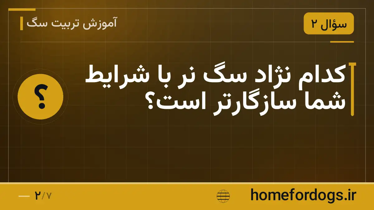 کدام نژاد سگ نر با شرایط شما سازگارتر است؟