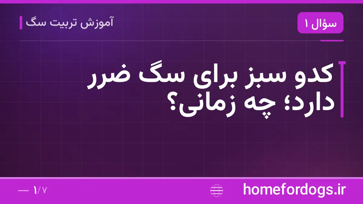 کدو سبز برای سگ ضرر دارد؛ چه زمانی؟