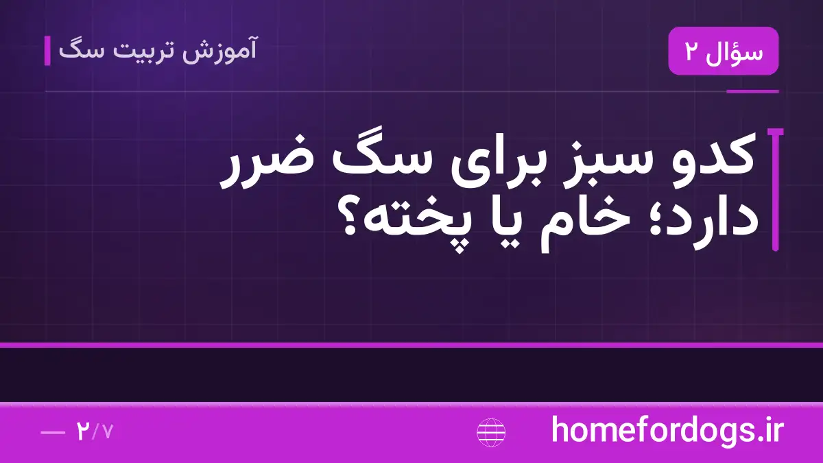 کدو سبز برای سگ ضرر دارد؛ خام یا پخته؟