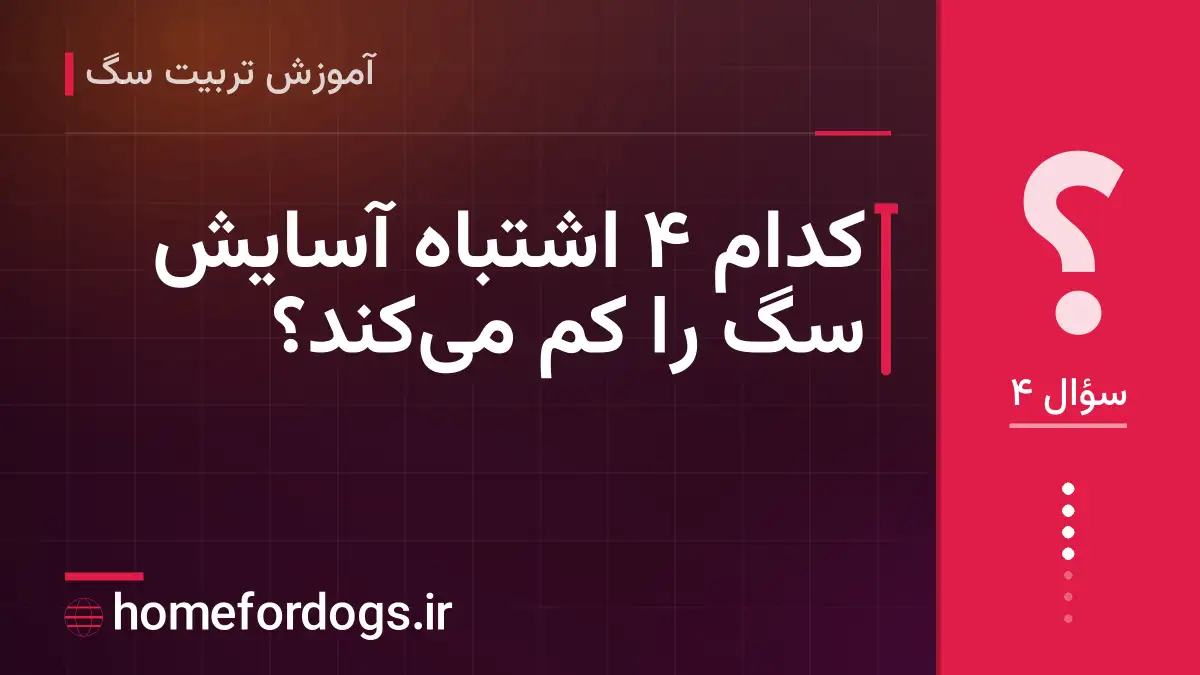 کدام ۴ اشتباه آسایش سگ را کم می‌کند؟
