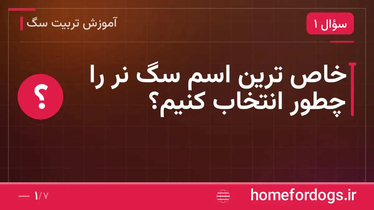 خاص ترین اسم سگ نر را چطور انتخاب کنیم؟