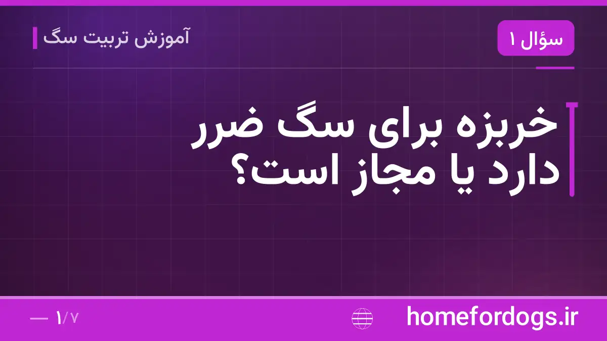 خربزه برای سگ ضرر دارد یا مجاز است؟