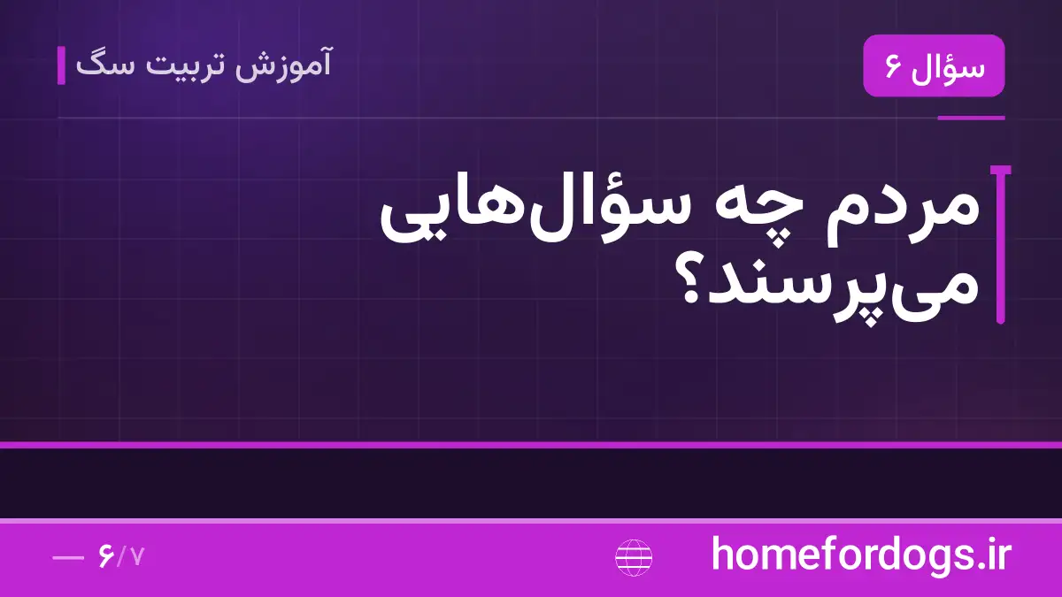 مردم چه سؤالهایی میپرسند؟