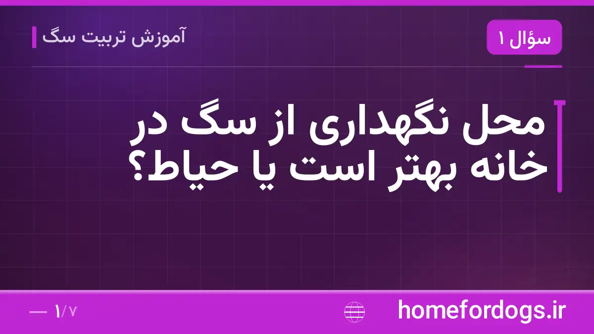 محل نگهداری از سگ در خانه بهتر است یا حیاط؟