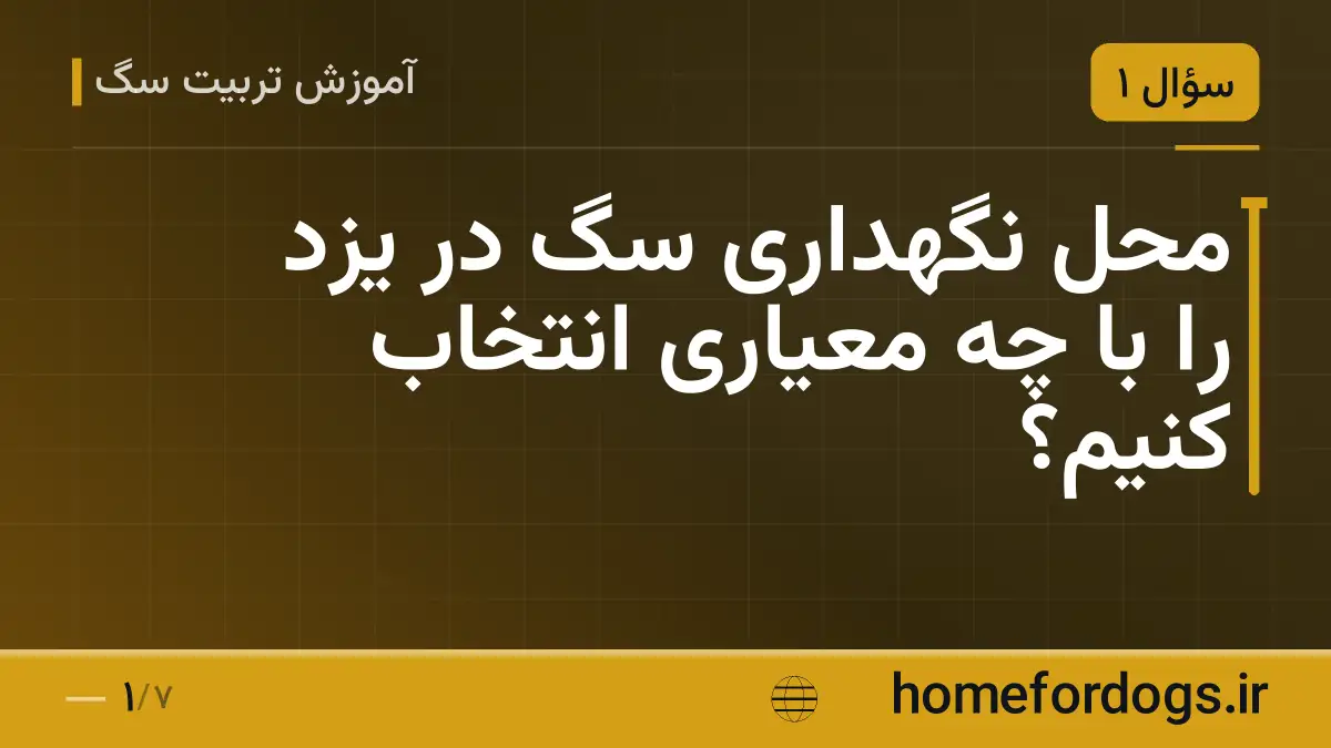 محل نگهداری سگ در یزد را با چه معیاری انتخاب کنیم؟